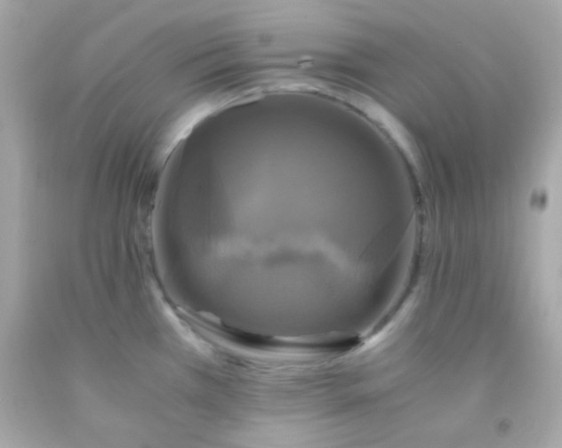 X0000091501385200709061913