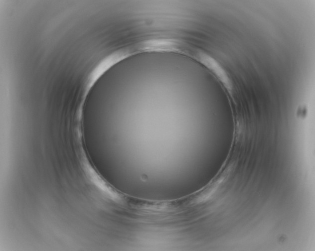 X0000091501386200709061913