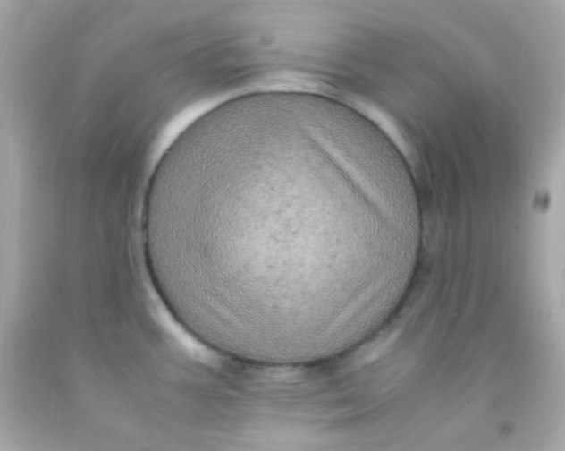 X0000091501387200709061913