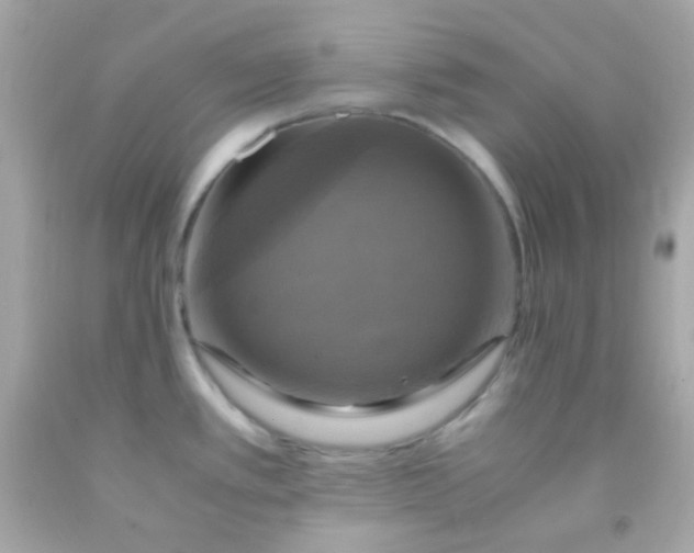 X0000091501389200709061913