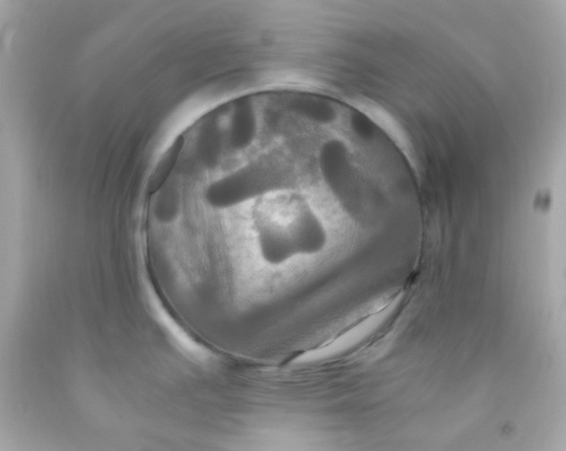 X0000091501391200709061913