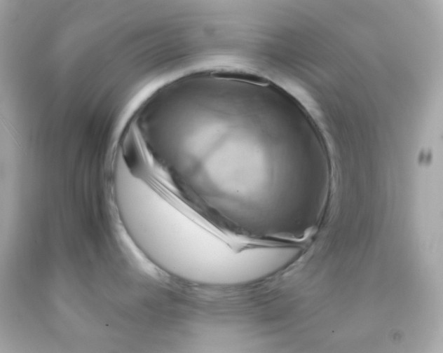 X0000091501392200709061913