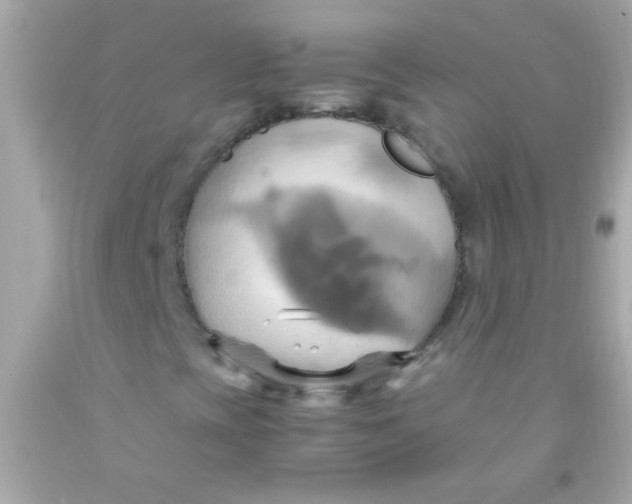 X0000091501393200709061913