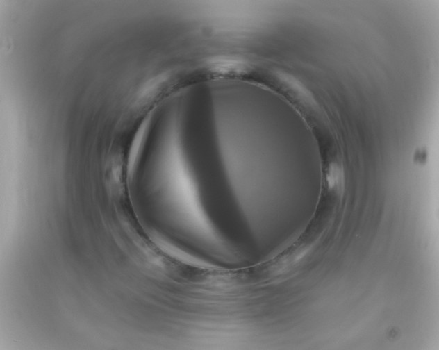 X0000091501396200709061913