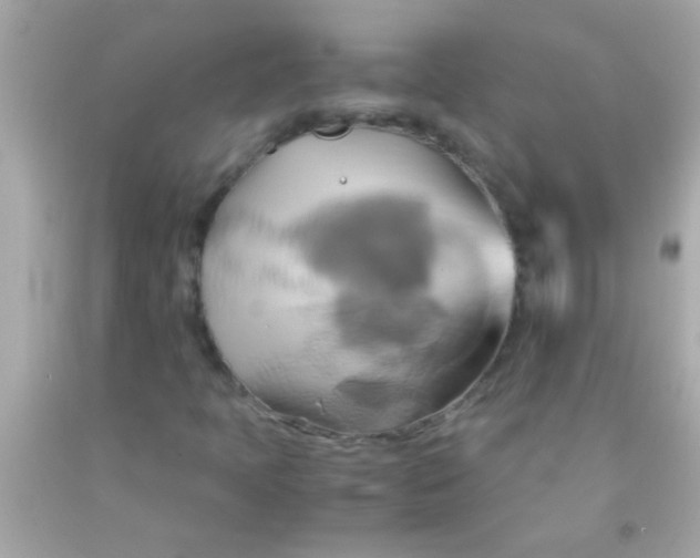 X0000091501397200709061913