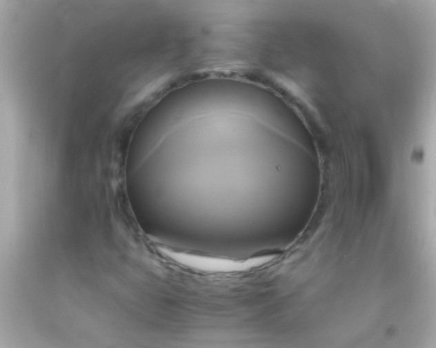 X0000091501399200709061913