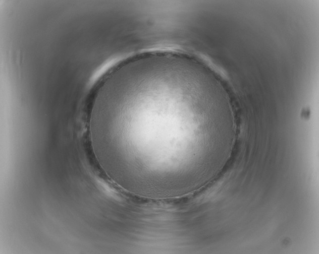 X0000091501400200709061913