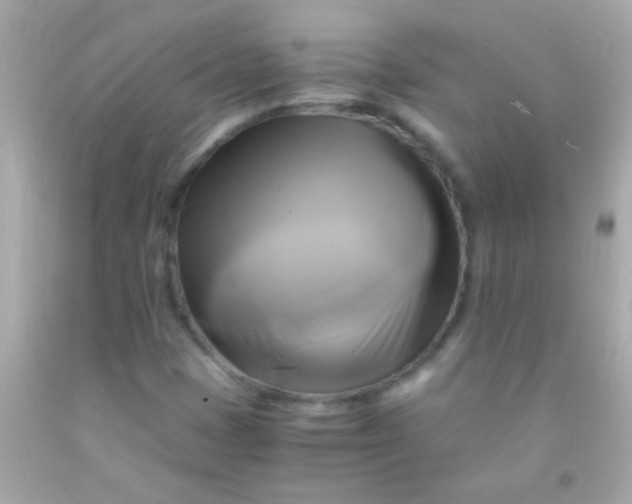 X0000091501401200709061913