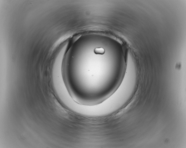 X0000091501402200709061913