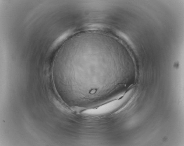 X0000091501403200709061913