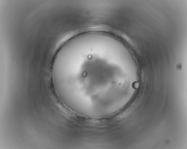 X0000091501405200709061913