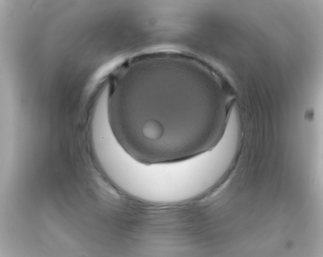 X0000091501406200709061913