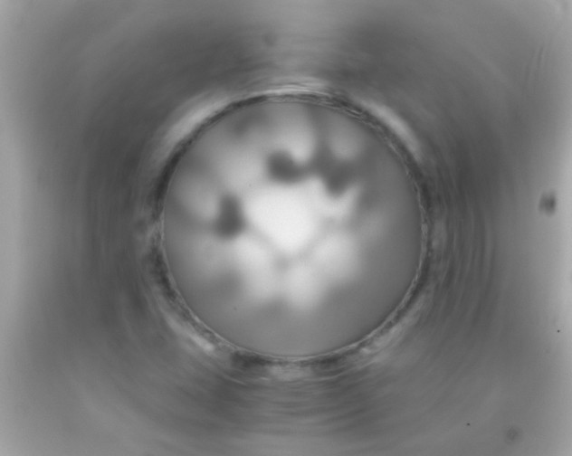 X0000091501407200709061913