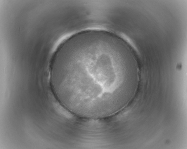 X0000091501408200709061913