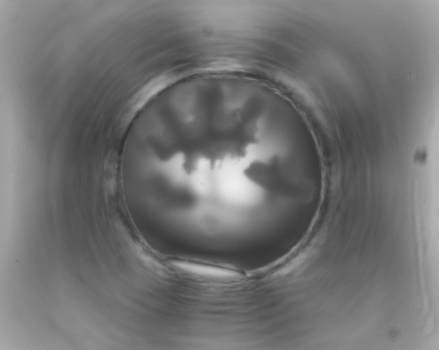 X0000091501409200709061913