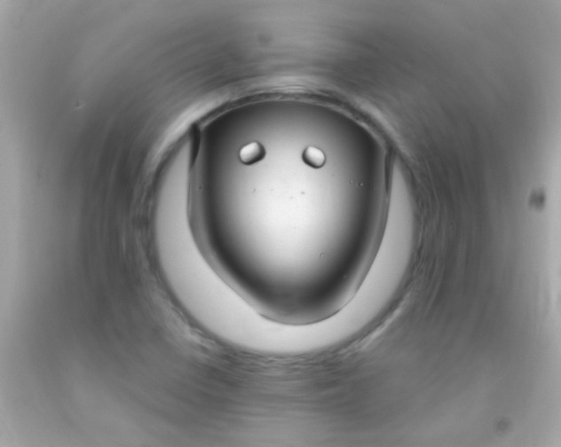 X0000091501410200709061913