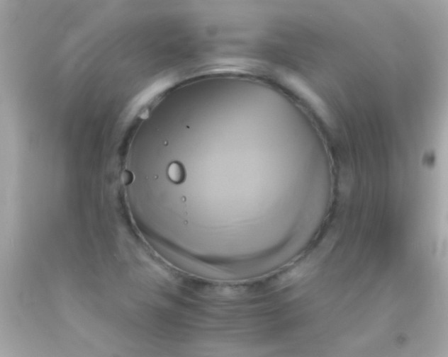 X0000091501411200709061913