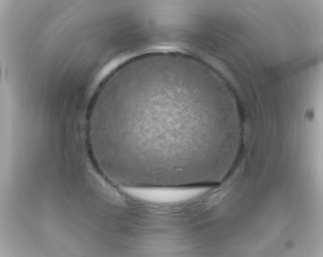 X0000091501412200709061913