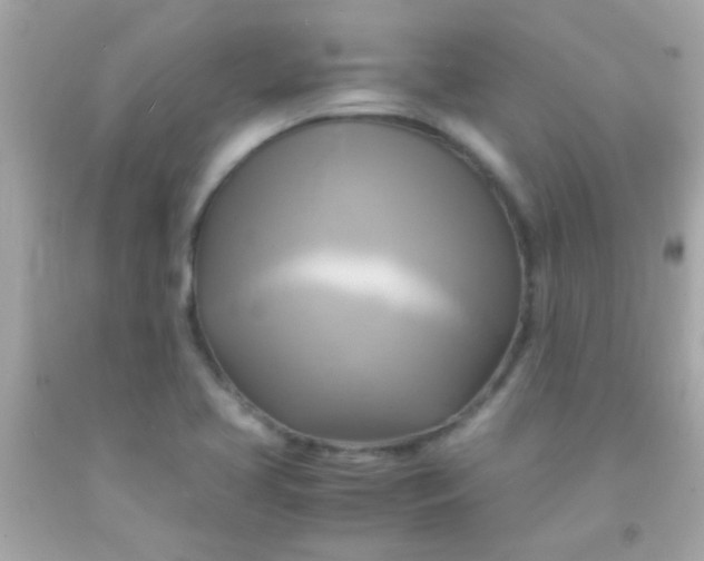 X0000091501413200709061913