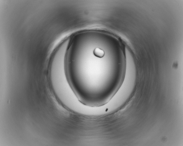 X0000091501414200709061913