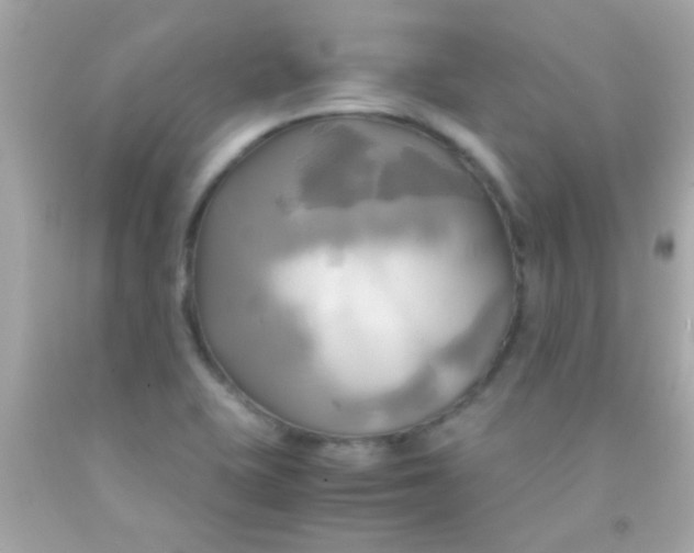 X0000091501415200709061913