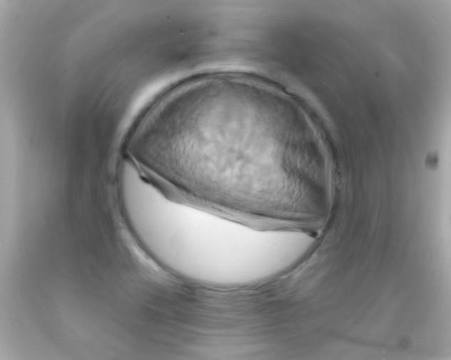 X0000091501416200709061913