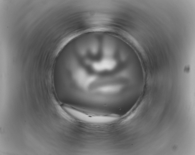 X0000091501417200709061913