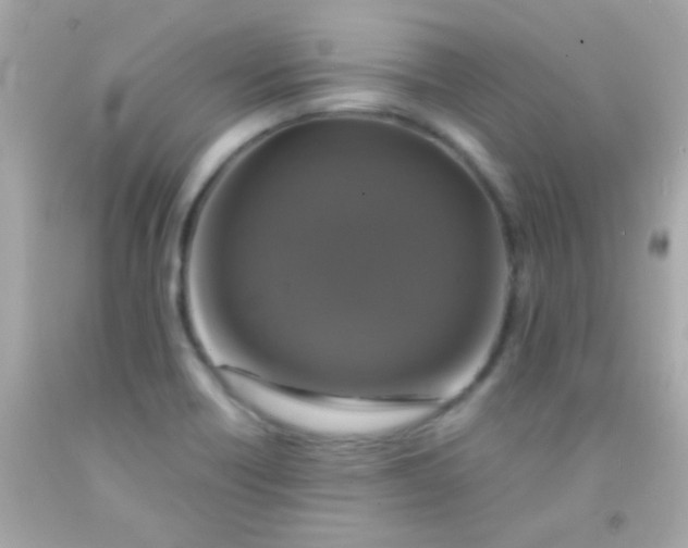 X0000091501418200709061913