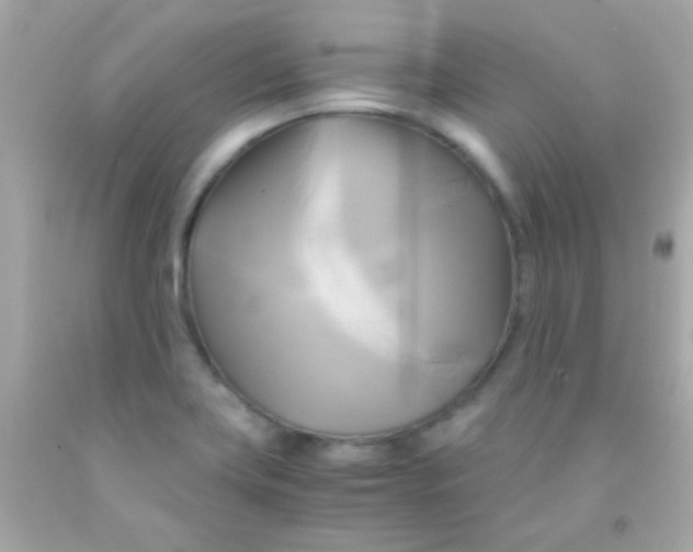 X0000091501419200709061913