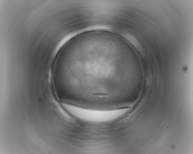 X0000091501420200709061913