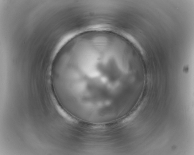 X0000091501421200709061913