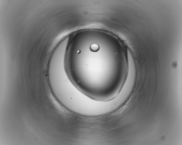 X0000091501422200709061913