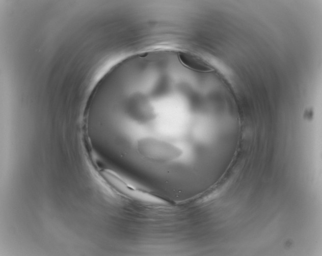 X0000091501423200709061913