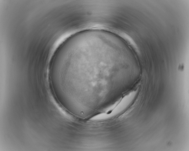 X0000091501424200709061913