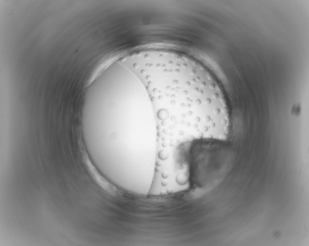 X0000091501425200709061913