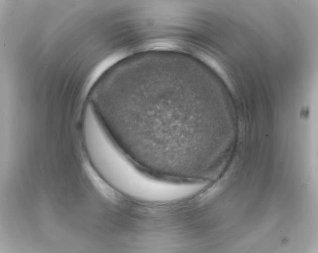 X0000091501426200709061913