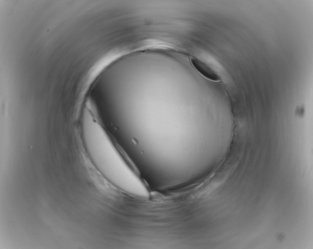 X0000091501427200709061913