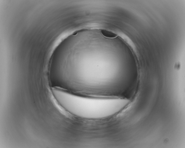 X0000091501429200709061913