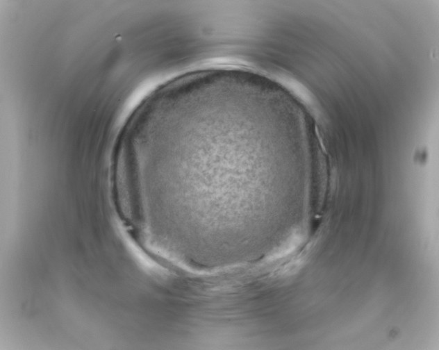 X0000091501430200709061913