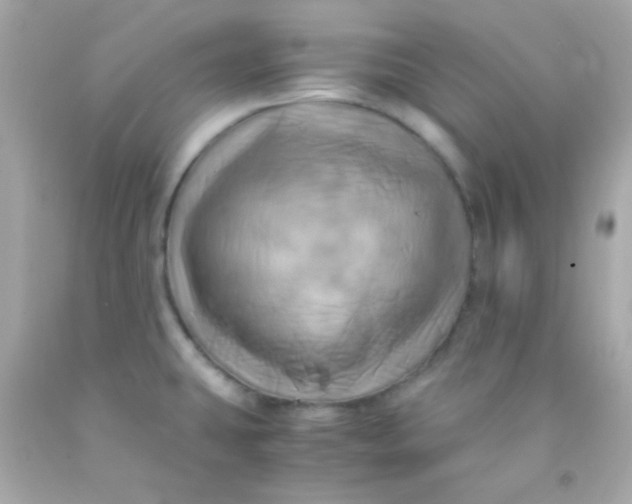 X0000091501431200709061913