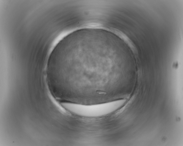 X0000091501432200709061913