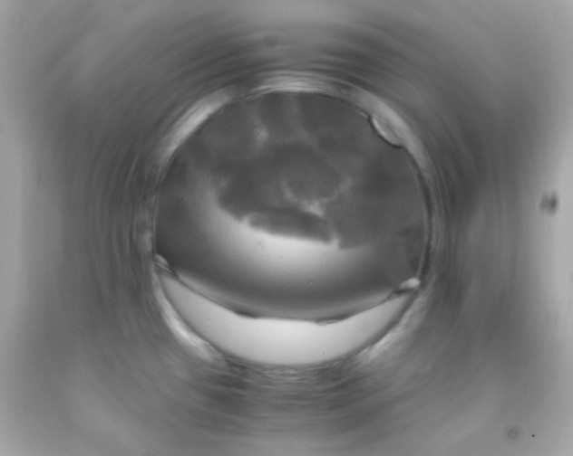 X0000091501433200709061913