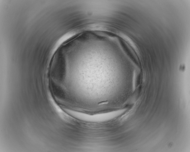 X0000091501434200709061913