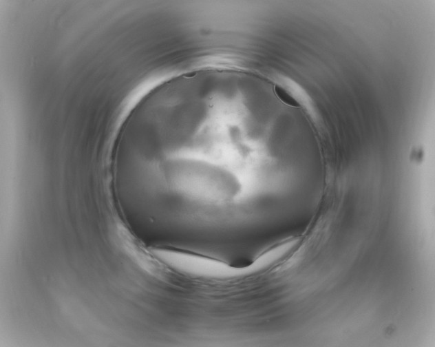 X0000091501435200709061913