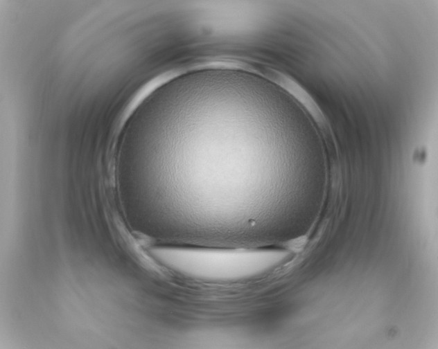 X0000091501436200709061913