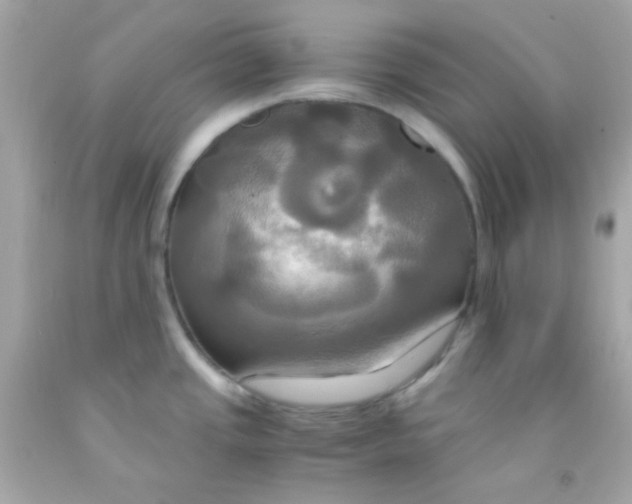 X0000091501437200709061913