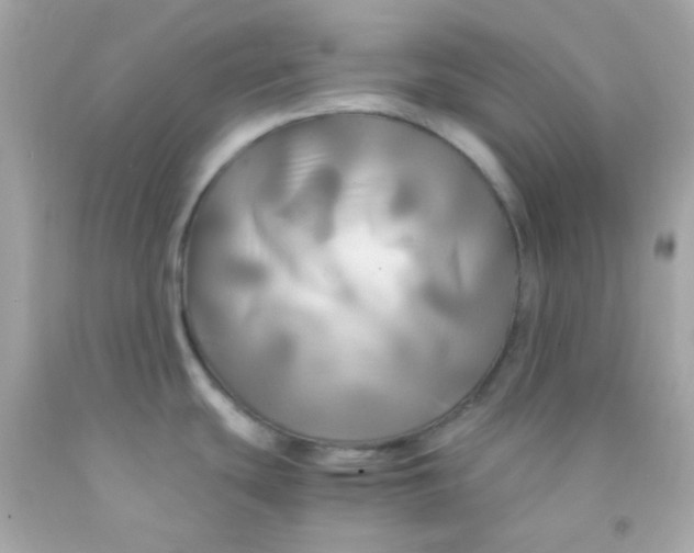 X0000091501439200709061913