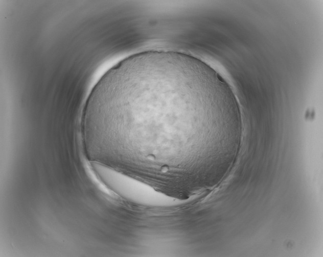 X0000091501440200709061913