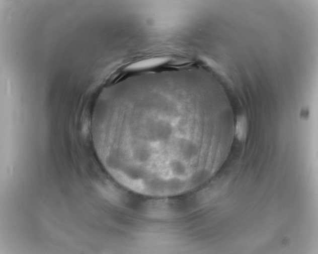 X0000091501444200709061913