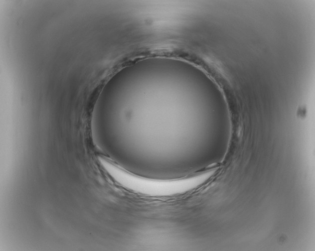 X0000091501445200709061913